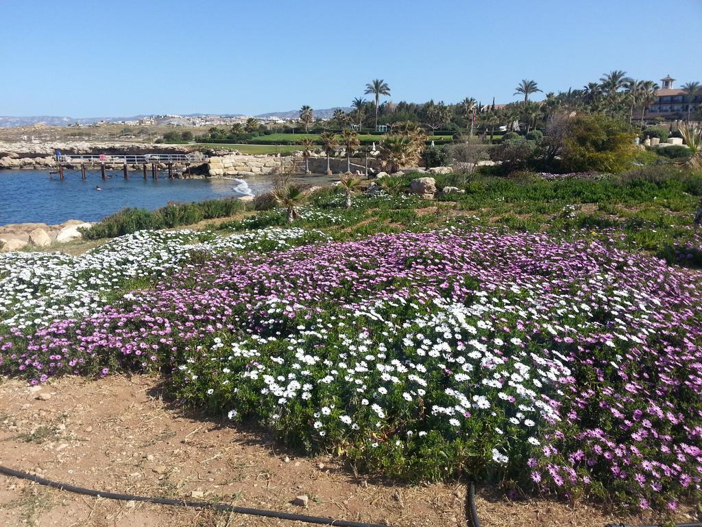 Faros Beach Paphos Exterior photo
